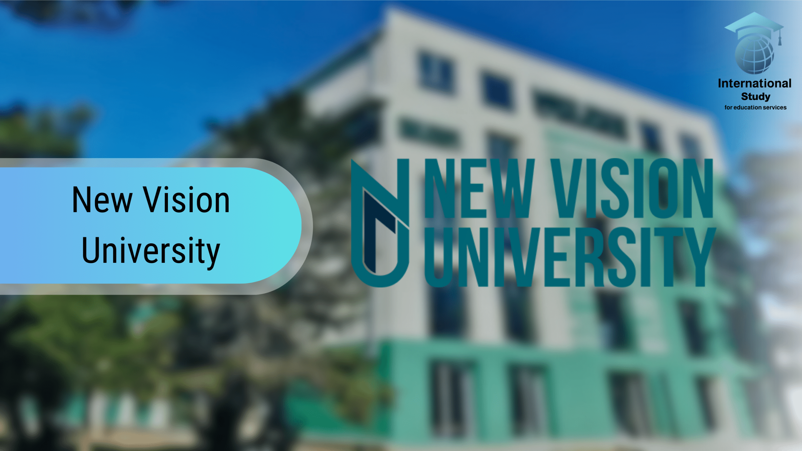 New Vision University