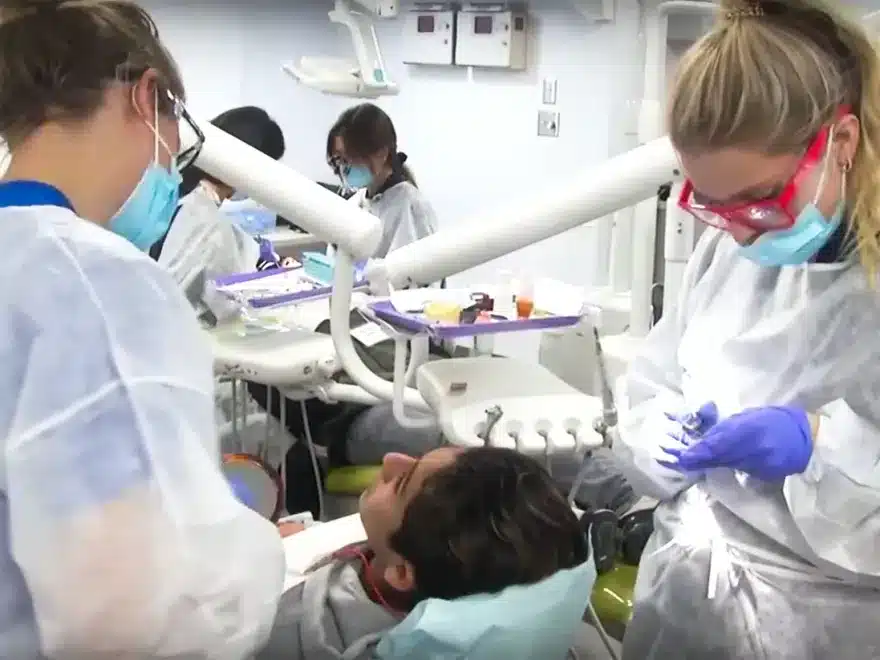 Best Dental Universities in Georgia