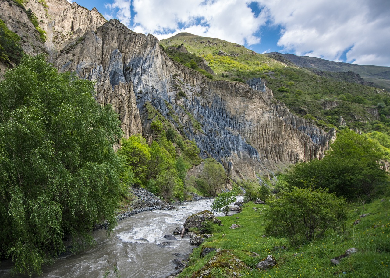 Ranking of universities in Georgia